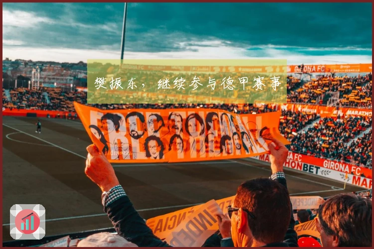 樊振东，继续参与德甲赛事