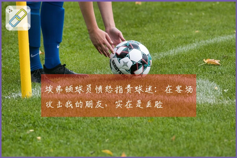 埃弗顿球员愤怒指责球迷：在客场攻击我的朋友，实在是丢脸